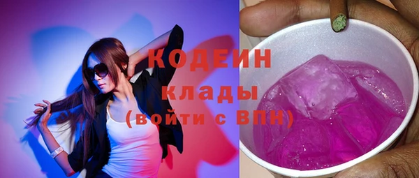 крисы Бородино