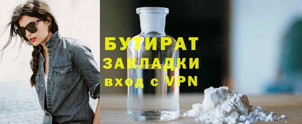 крисы Бородино