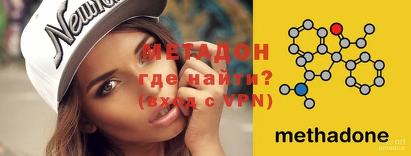 крисы Бородино