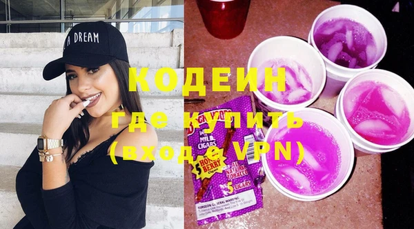 крисы Бородино