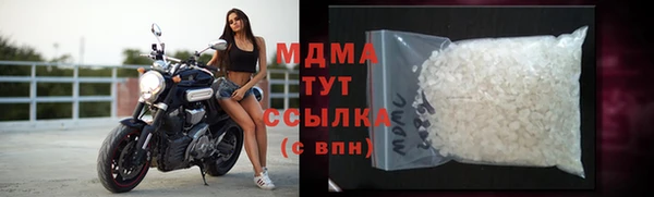 крисы Бородино