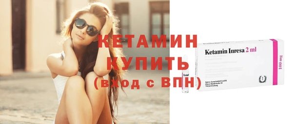 крисы Бородино