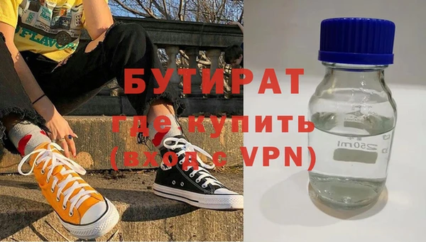 крисы Бородино