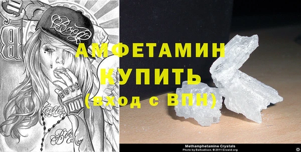крисы Бородино