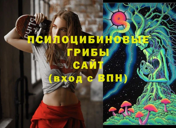 крисы Бородино