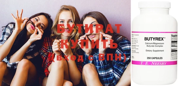 крисы Бородино