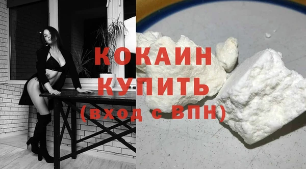 крисы Бородино