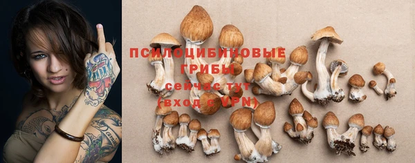крисы Бородино
