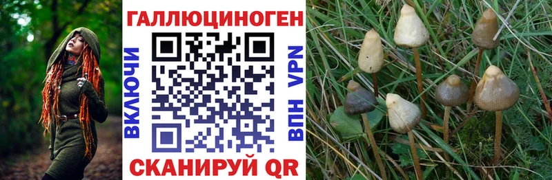Галлюциногенные грибы MAGIC MUSHROOMS  Купить  Гороховец 